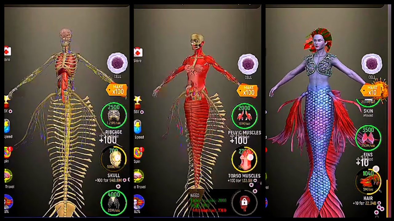 Max Level of Mermaid Evolution !! Idle Human #viral #trending #gaming #video