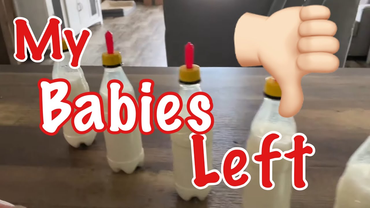 And Then There Were Four