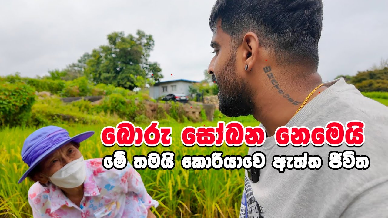 කොරියාවෙ ගමක රව්මක්