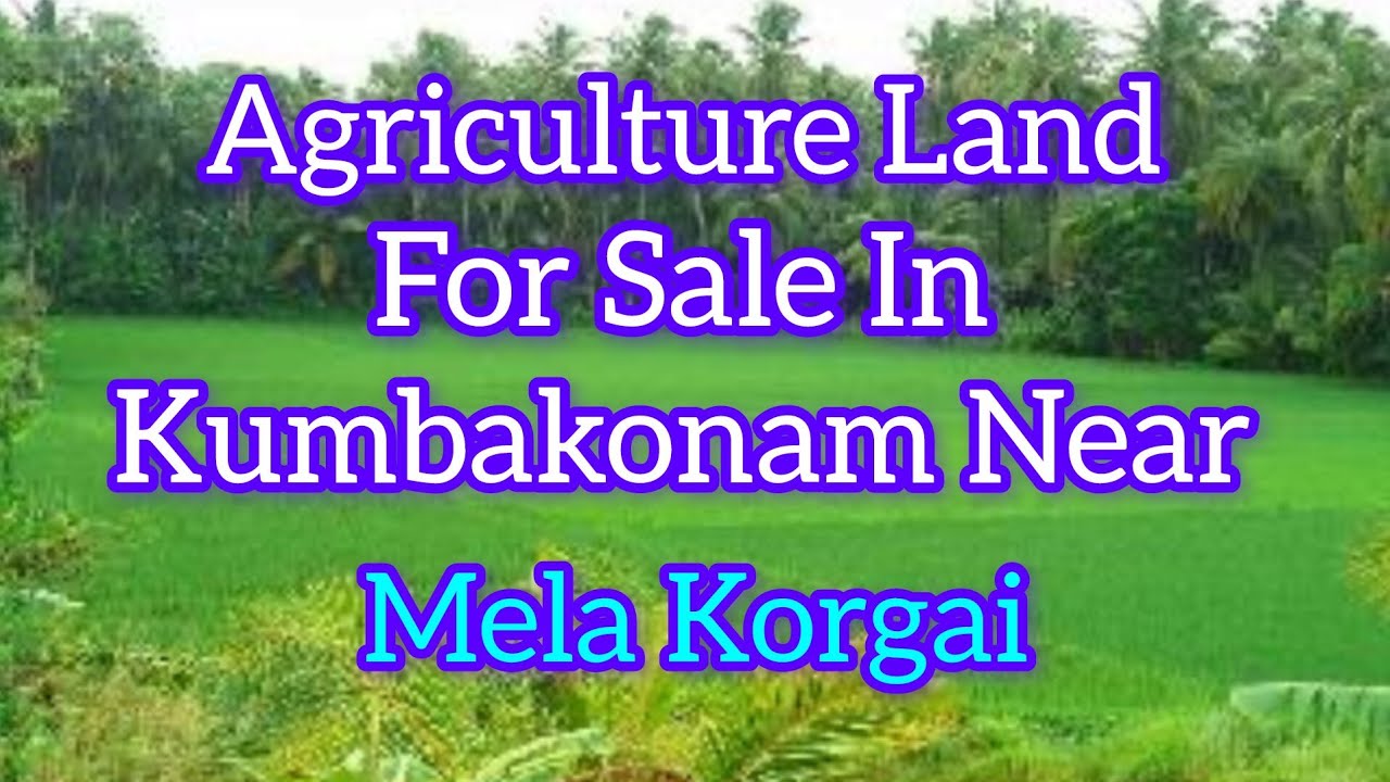 Agriculture Land For Sale In Kumbakonam Near Mela Korgai