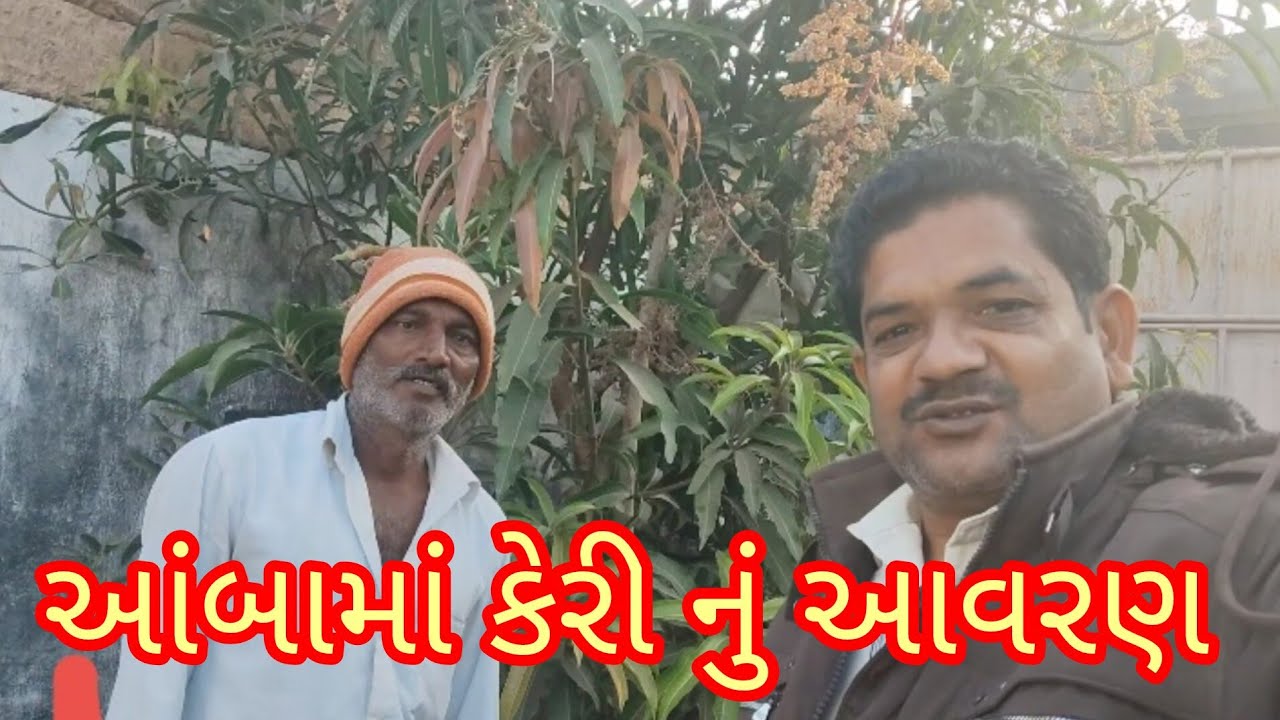 આંબા માં કેરી રૂમઝૂમ //haresh vaghasiya vlog //
