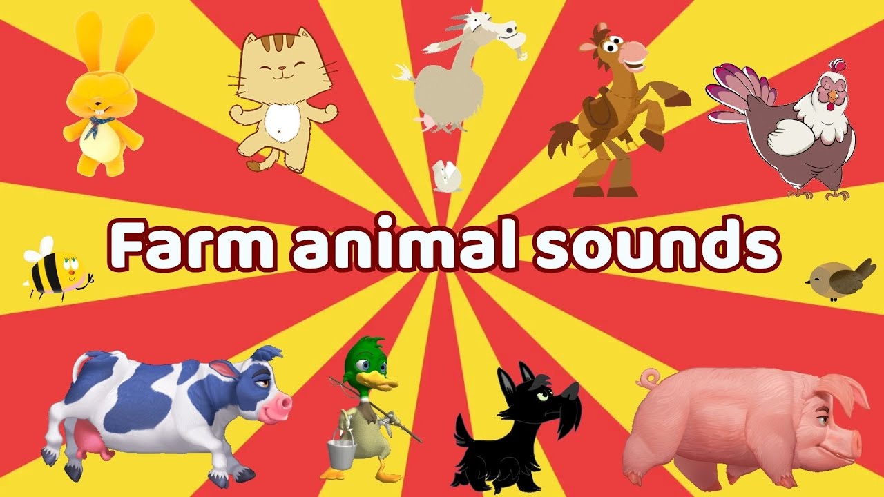 Farm Animal Sounds Song N9T8 | Nursery Rhymes | Kids TV Education