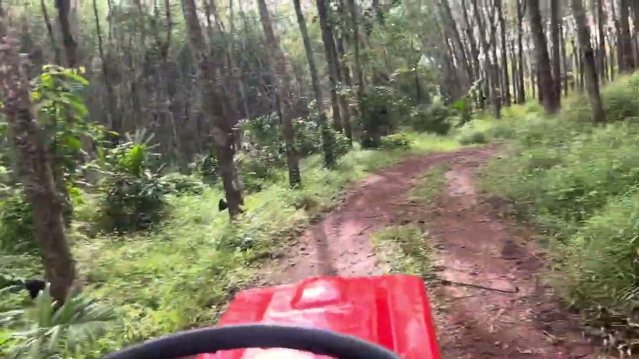 Kubota b6000