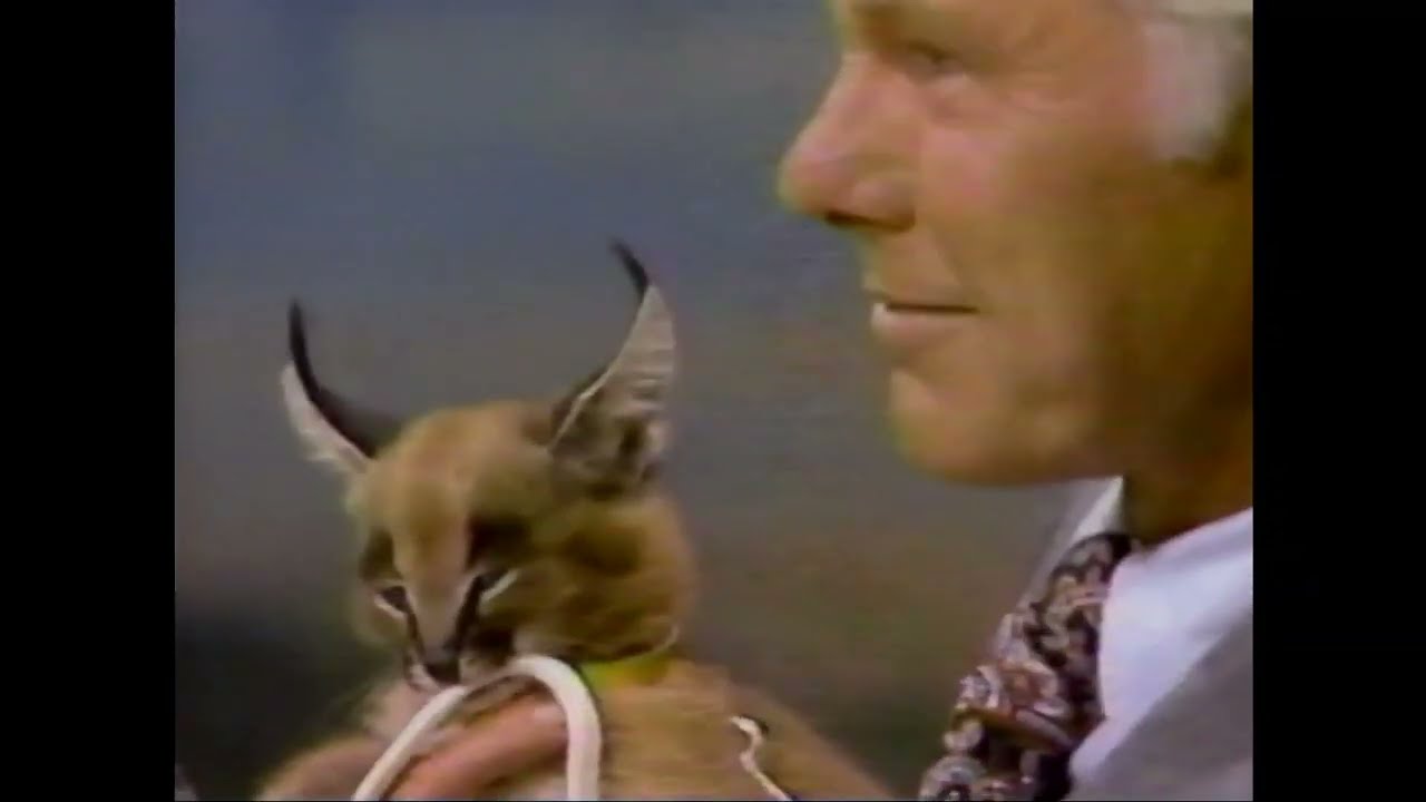 Johnny Carson: Joan Embery emu and caracal cat