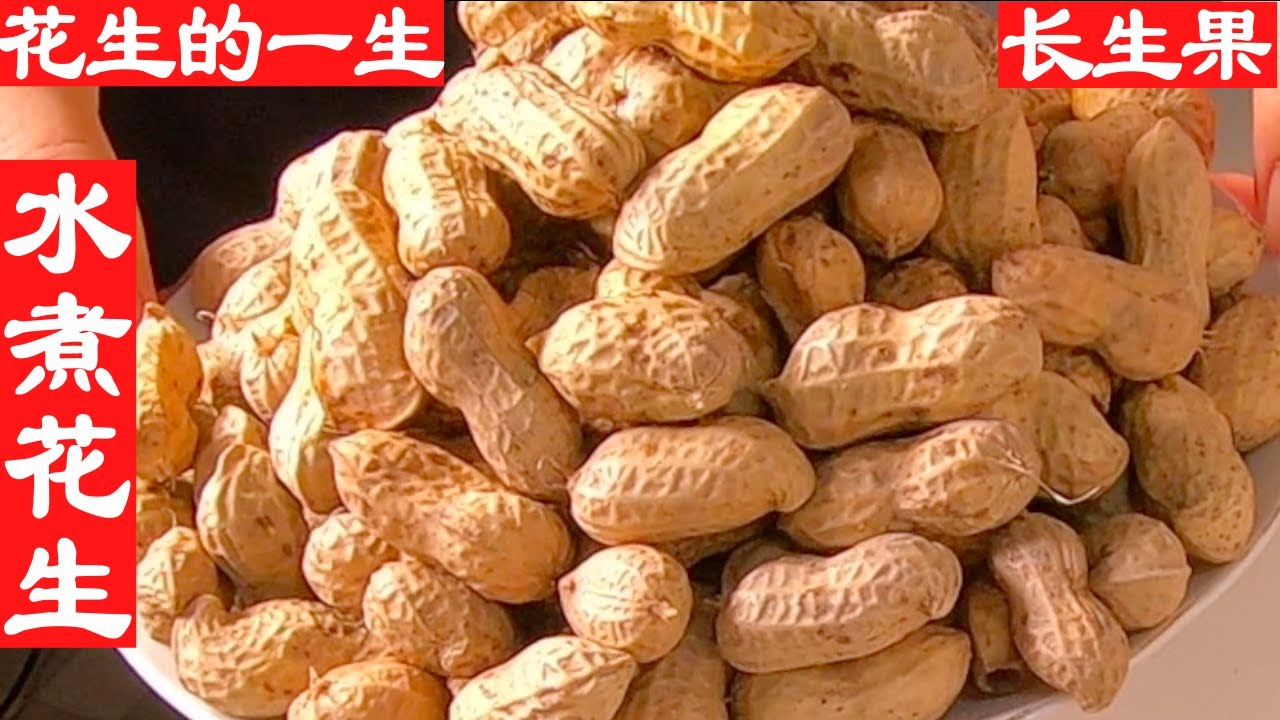 水煮花生，鹽水花生的超簡單做法！向李子柒學習，看我在日本怎樣種花生。花生的一生，原來就是這樣！花生是長生果，有8大食用功效。 The life of peanuts