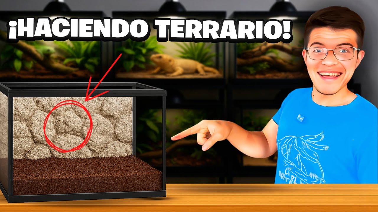 &iexcl;As&iacute; se hace un terrario INCREIBLE con fondo de piedra! 🪨 &iexcl;F&aacute;cil paso a paso!