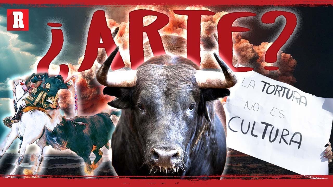 La TAUROMAQUIA en MÉXICO, ¿arte o crueldad? | Mesa de debate