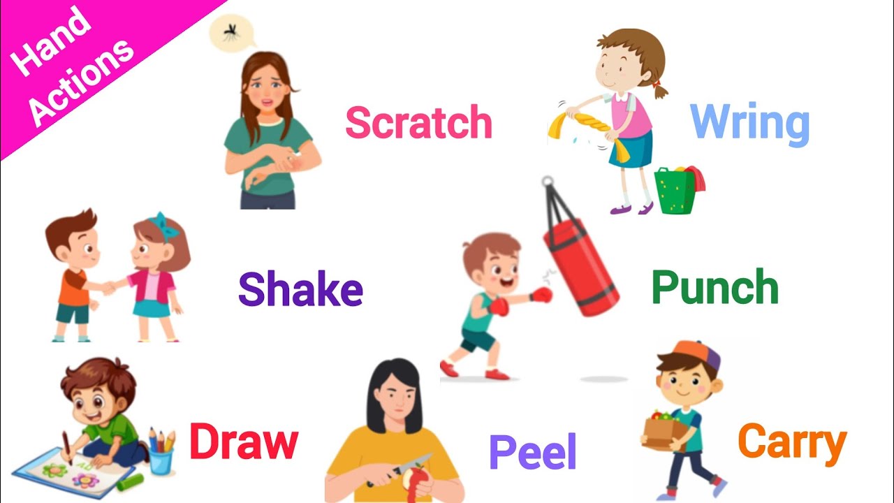 Hand Action Verbs in English | Hand Action Verbs | Daily Use Vocabulary