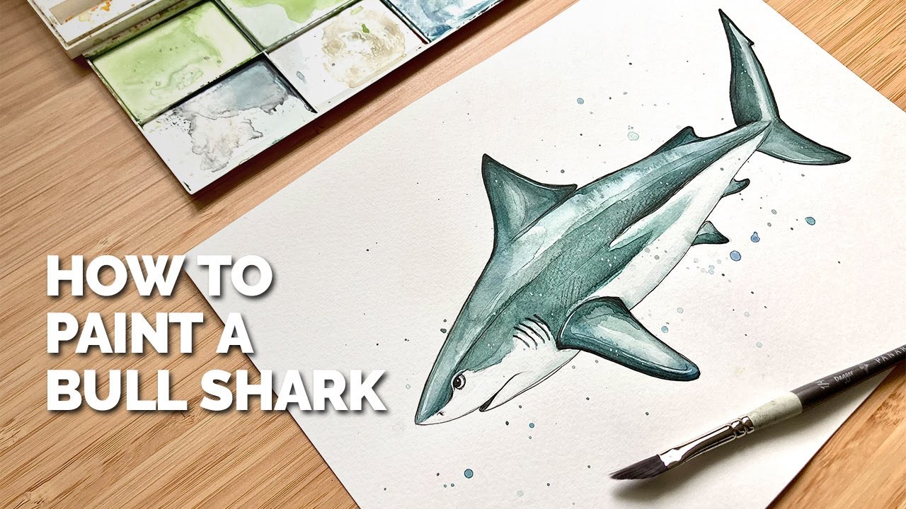 How to paint a Bull Shark