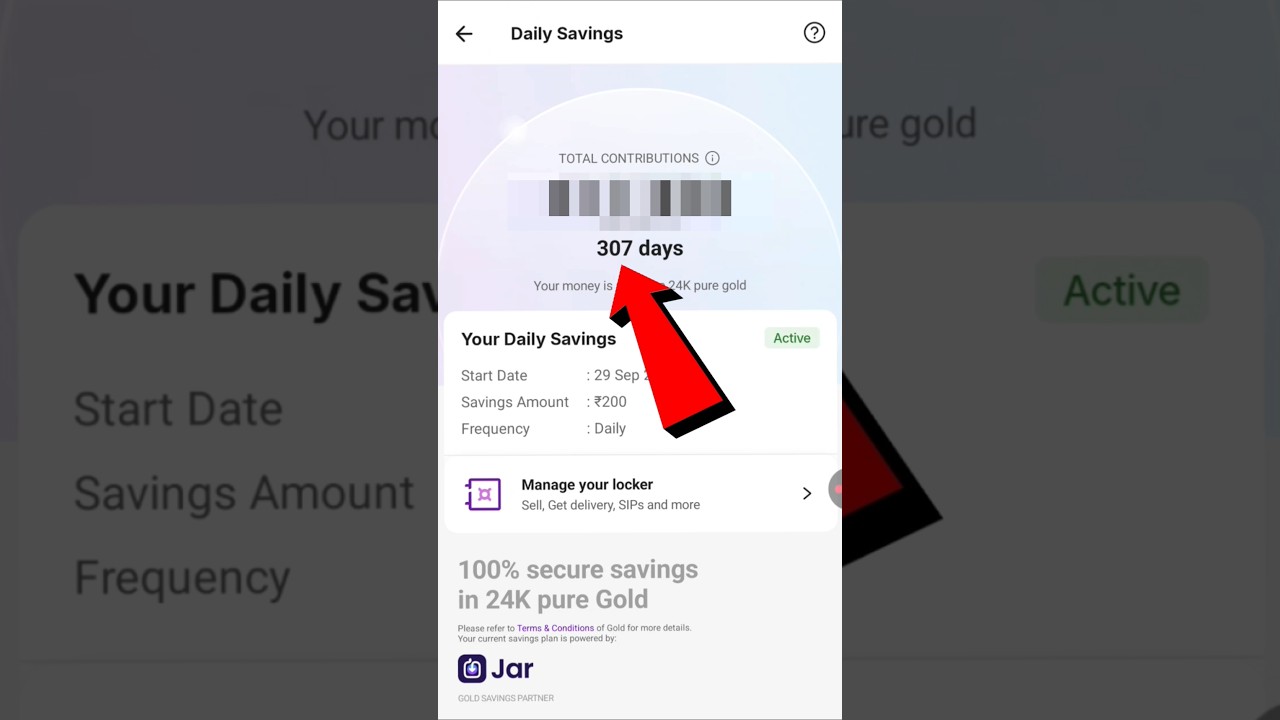 Phonepe Daily Savings after 307 days