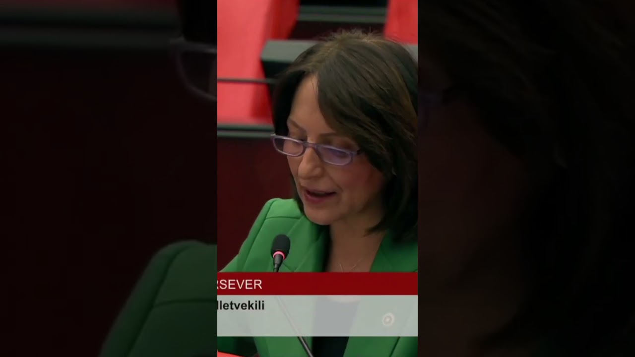 Aliye TİMİSİ ERSEVER - 19. Birleşim (28.Dönem, 4.Yasama)