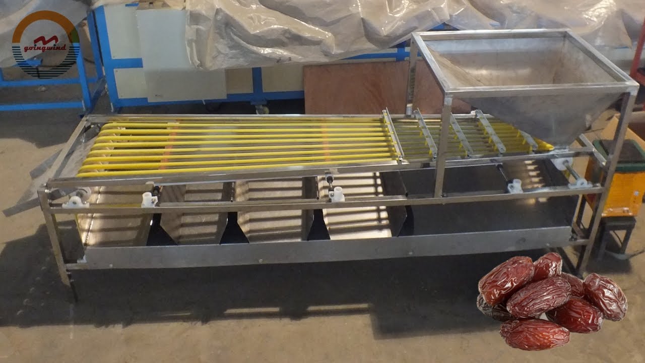 Automatic medjool dates grading sorting machine industrial palm date jujube size grader sorter