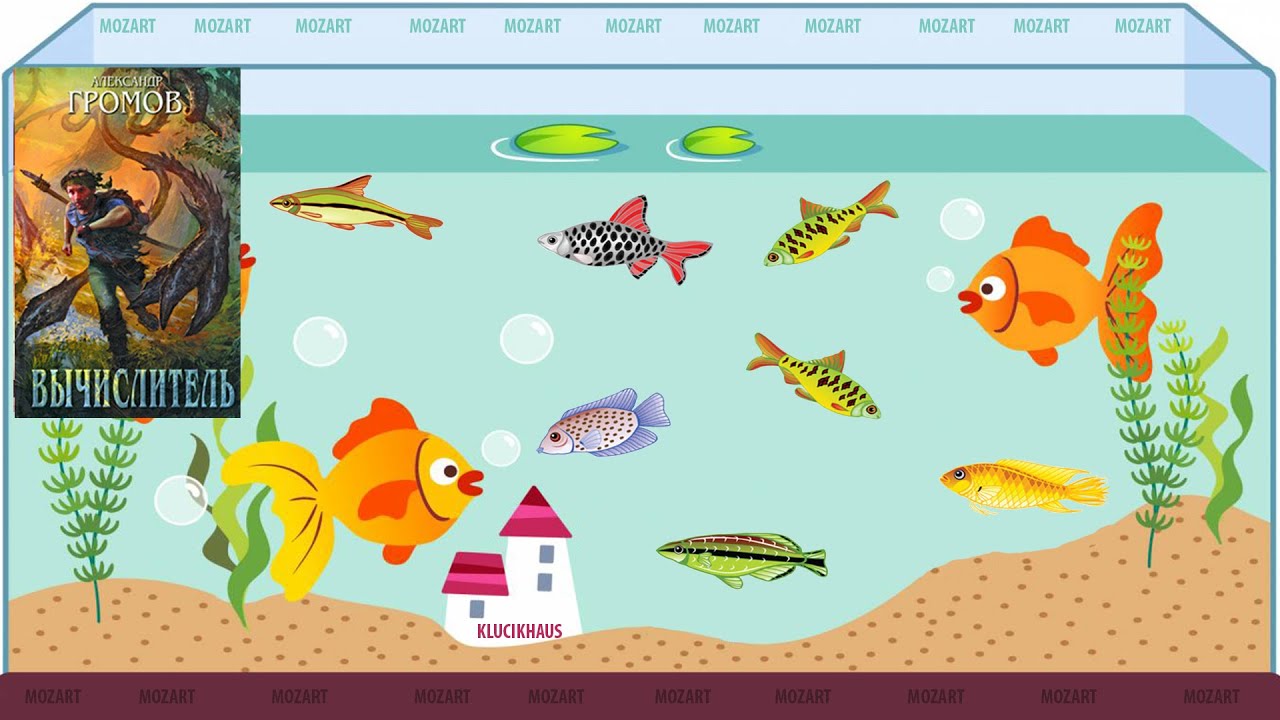 🐠 Аквариумы 2024 Май - 2