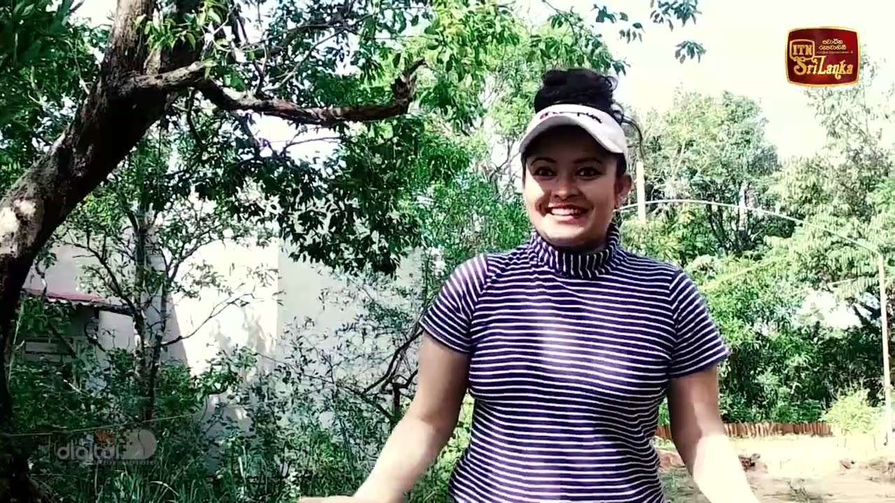 Travel Girl Documentary of Treehouse Chalets