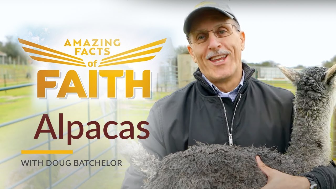 Amazing Facts of Faith: 