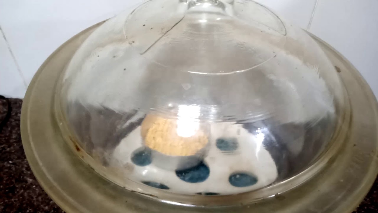 How to find moisture content in any product//lab practice//practical knowledge//food technology//
