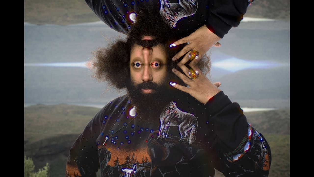 Reggie Watts live LP vol. 2