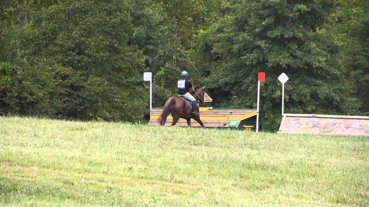 2015 Seneca Valley Pony Club HT:  Prelim XC