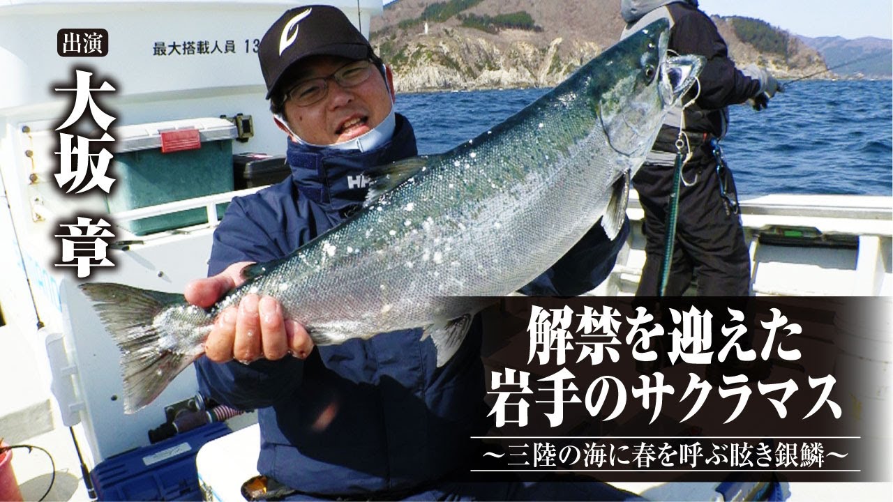 #464 解禁を迎えた岩手のサクラマス〜三陸の海に春を呼ぶ眩き銀鱗～