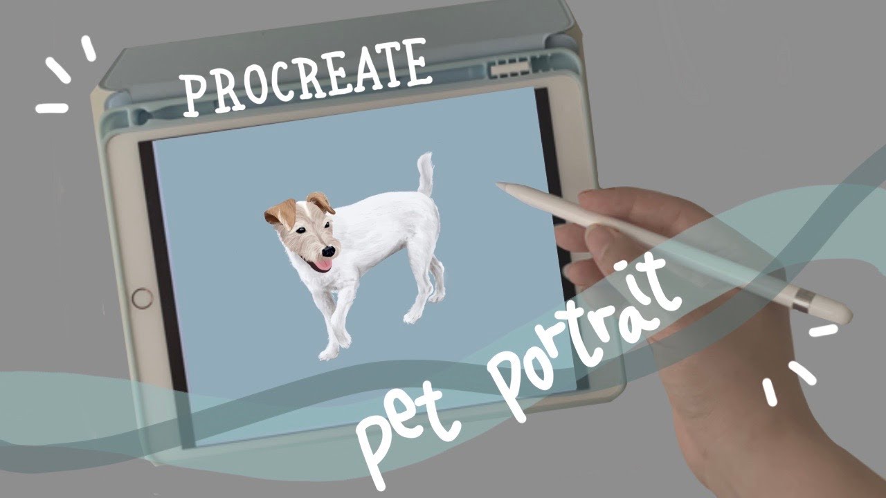 Procreate | Pet Portrait Illustration