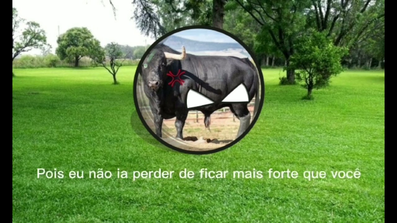 ep 2, Eduverso