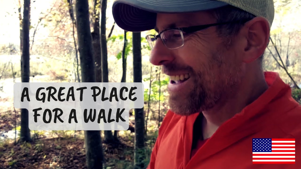 🦫 THIS COULD BE BEAR AND BEAVER COUNTRY - LET'S FIND OUT  🐻 New Hampshire Lakes Region