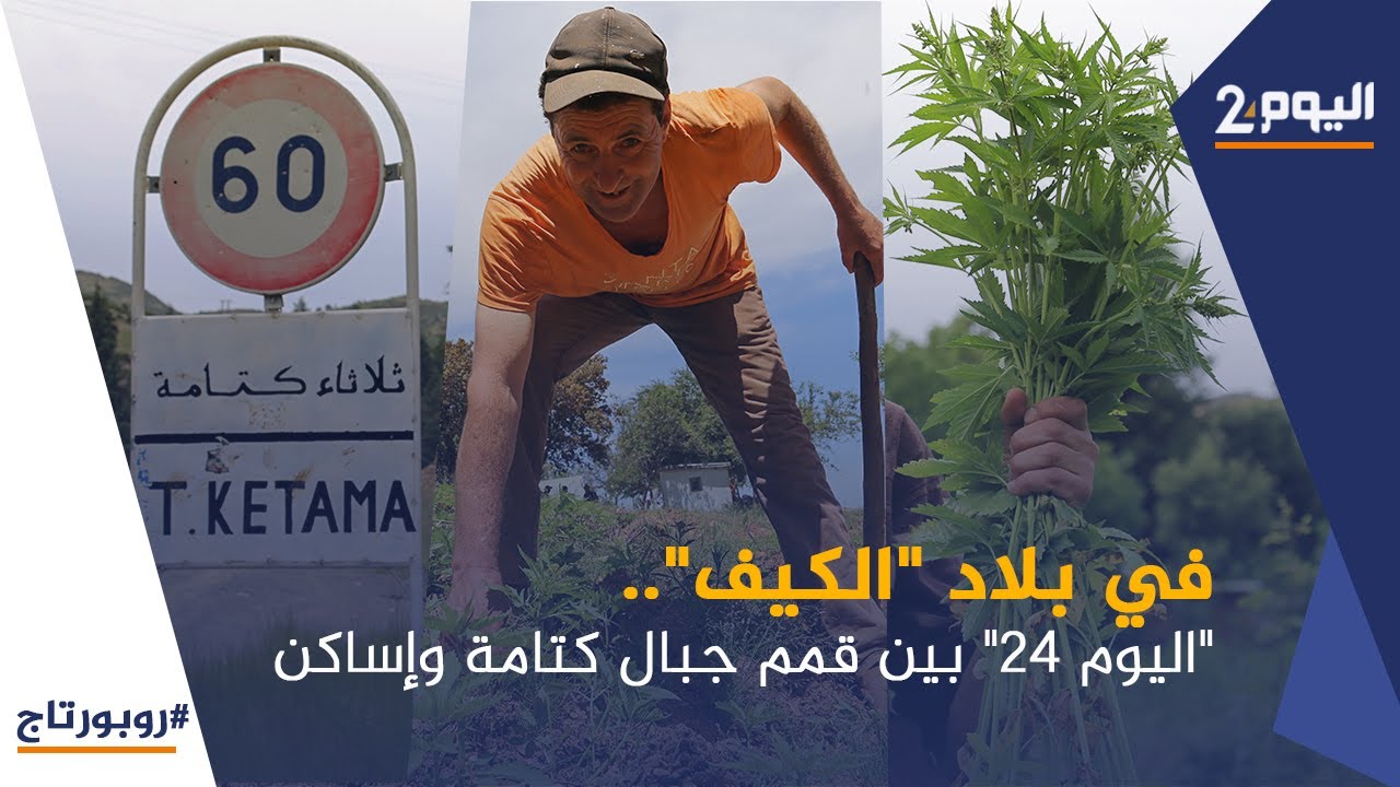 في بلاد 