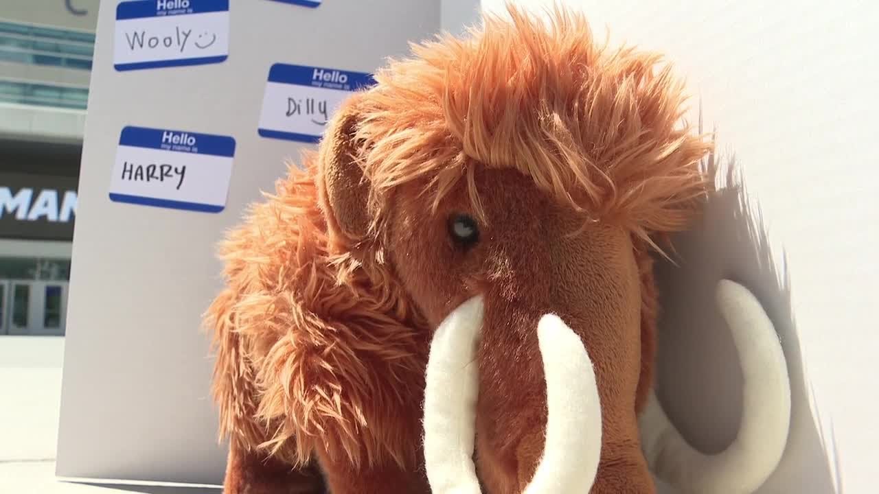 What should the Utah Mammoth mascot be named?
