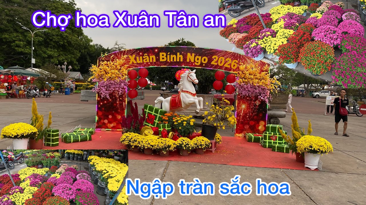 Ngày 24 Tết tràn ngập hoa đủ màu sắc ở tp Tân an