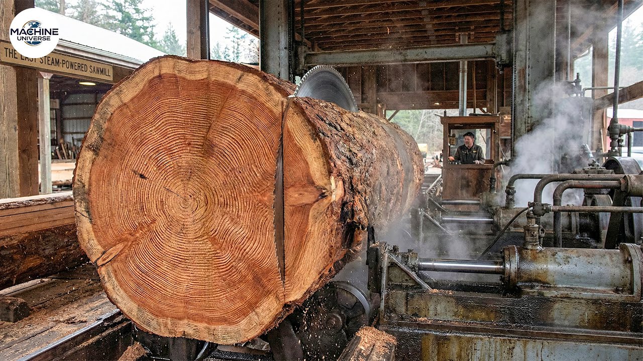 AMERICAN GRIT: Inside the Last Steam-Powered Sawmill Surviving 128 Years | Hull-Oakes Lumber Legacy