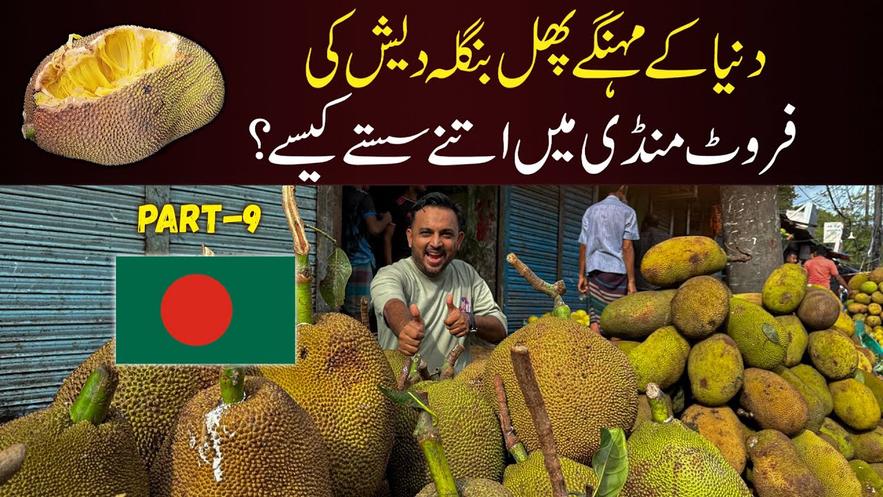 World’s Expensive Fruits at Cheapest Prices | Bangladesh Fruit Market | Part -9 Bangladesh Tour 🇧🇩