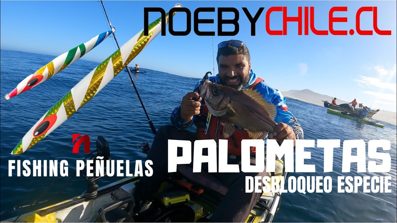 PESCA EN KAYAK!!!! SEGUIMOS EN RACHA, PALOMETAS Y APAÑAO