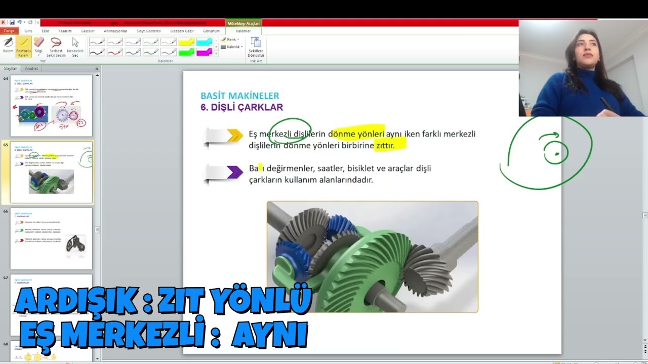 ÇIKRIK- DİŞLİ-KASNAK TEK VİDEO  #fenbilimleri #keşfetbeniöneçıkar #fypシ #keşfet #viralvideo
