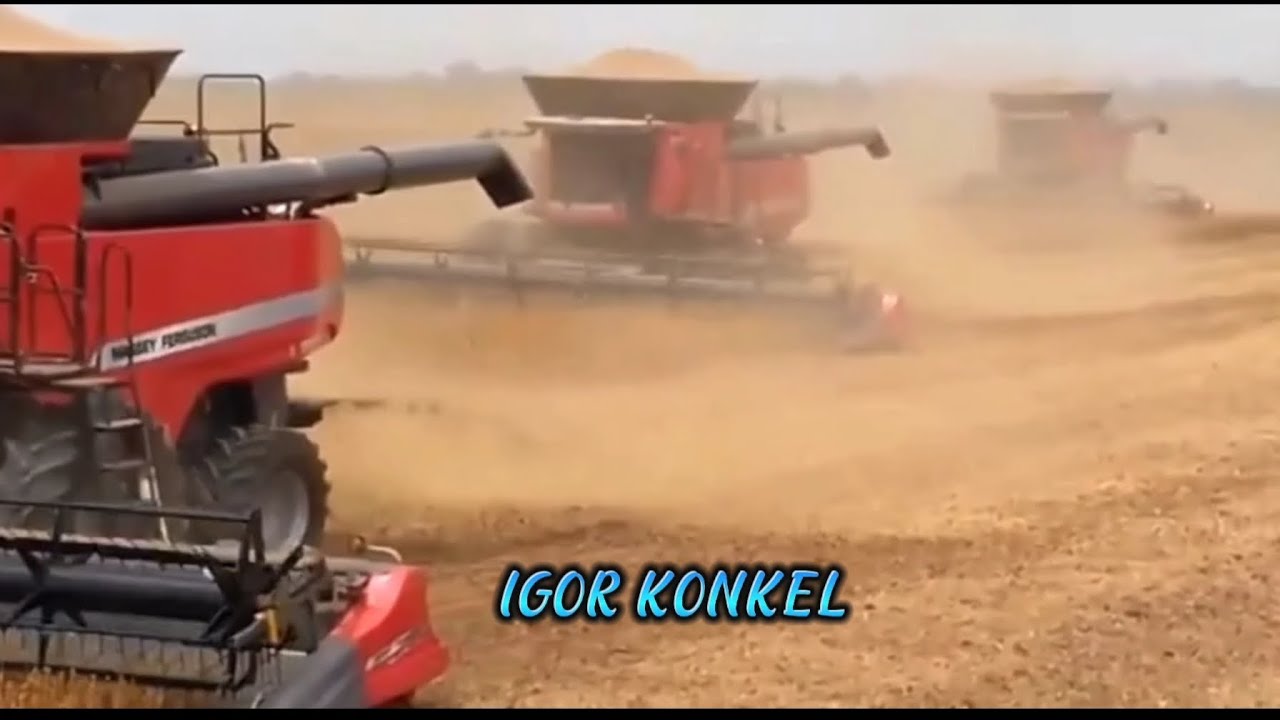 Não deixe seus sonhos serem apenas sonhos•°!