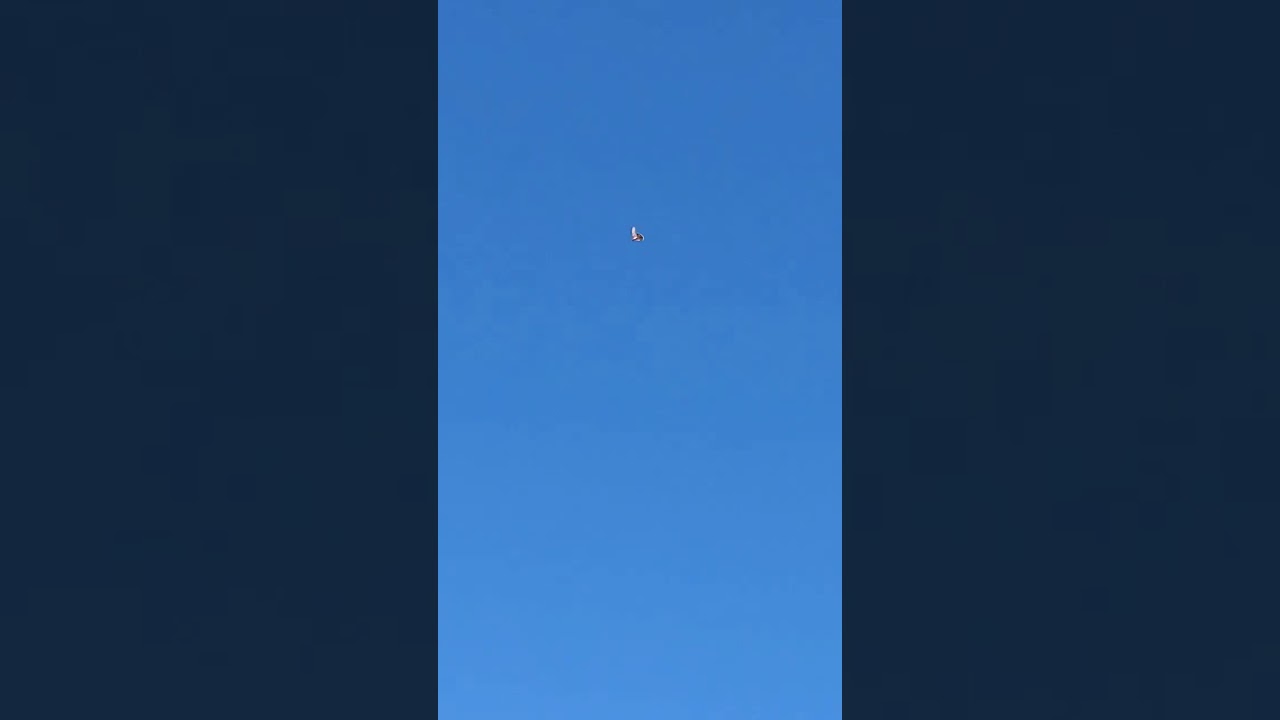 حمام لوت الانبار بدوه جديده احمد المحمدي