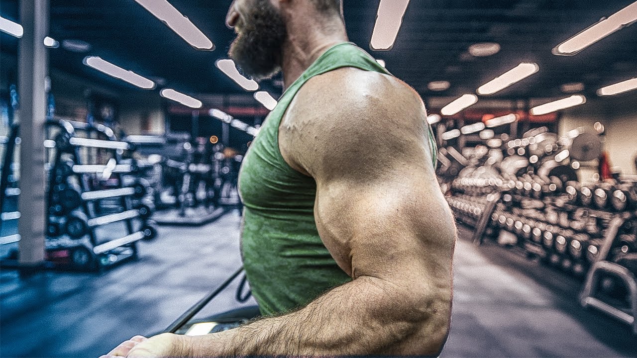 SECRET To Build BIG REAR DELTS Fast (Psst! Bands)