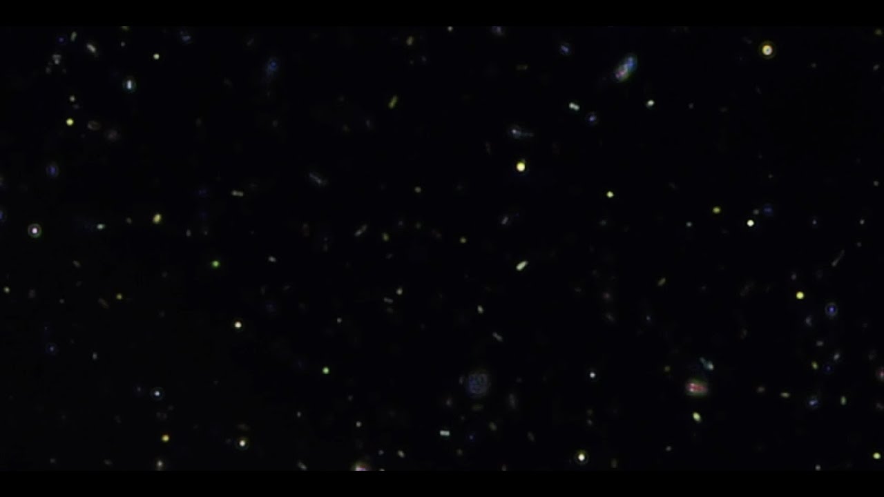 Microbial glitter
