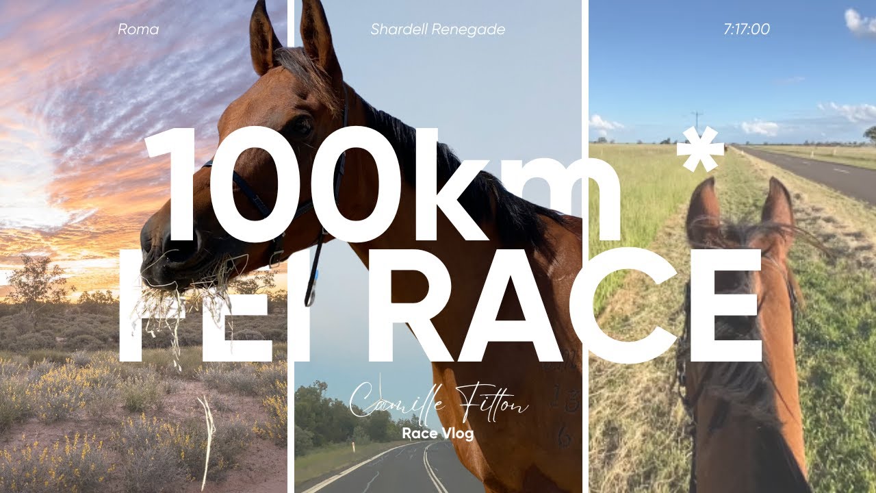 Roma FEI Race | 100km 1*