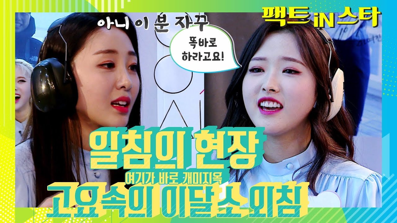 이 곳이 바로 개미지옥! 이달의 소녀 (LOONA) [고요속의 외침]  - 팩트iN스타