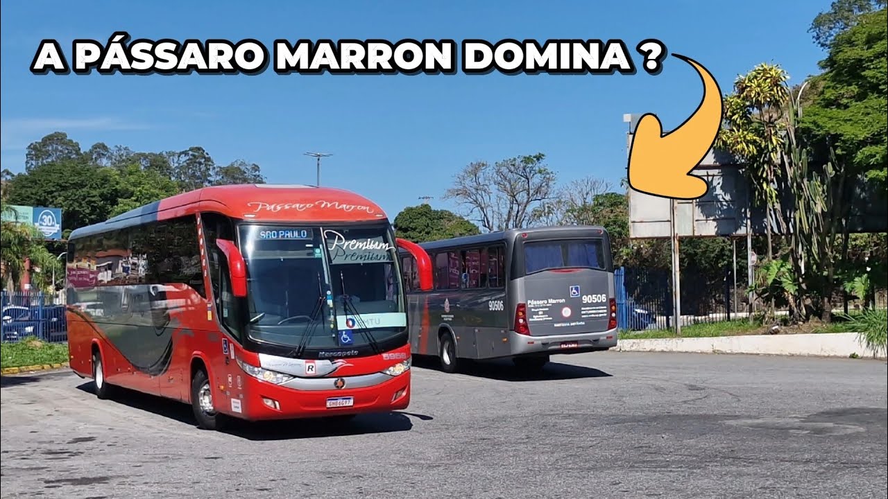 ESTRÉIA NO CANAL ! MOVIMENTO DE ÔNIBUS NA RODOVIÁRIA DE GUARATINGUETÁ ( SP )