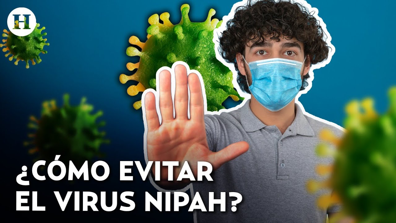 ¿Qué alimentos y contactos debes evitar? Así puedes protegerte del contagioso virus Nipah