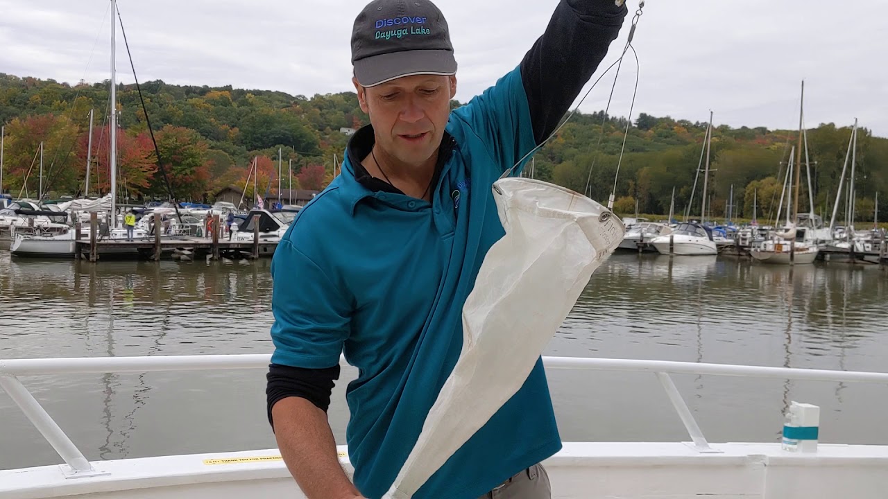 DCL FC Plankton Net Tutorial