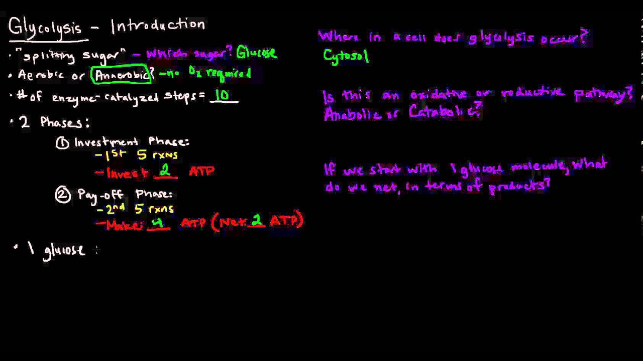 Glycolysis (Part 1 of 3) - Introduction