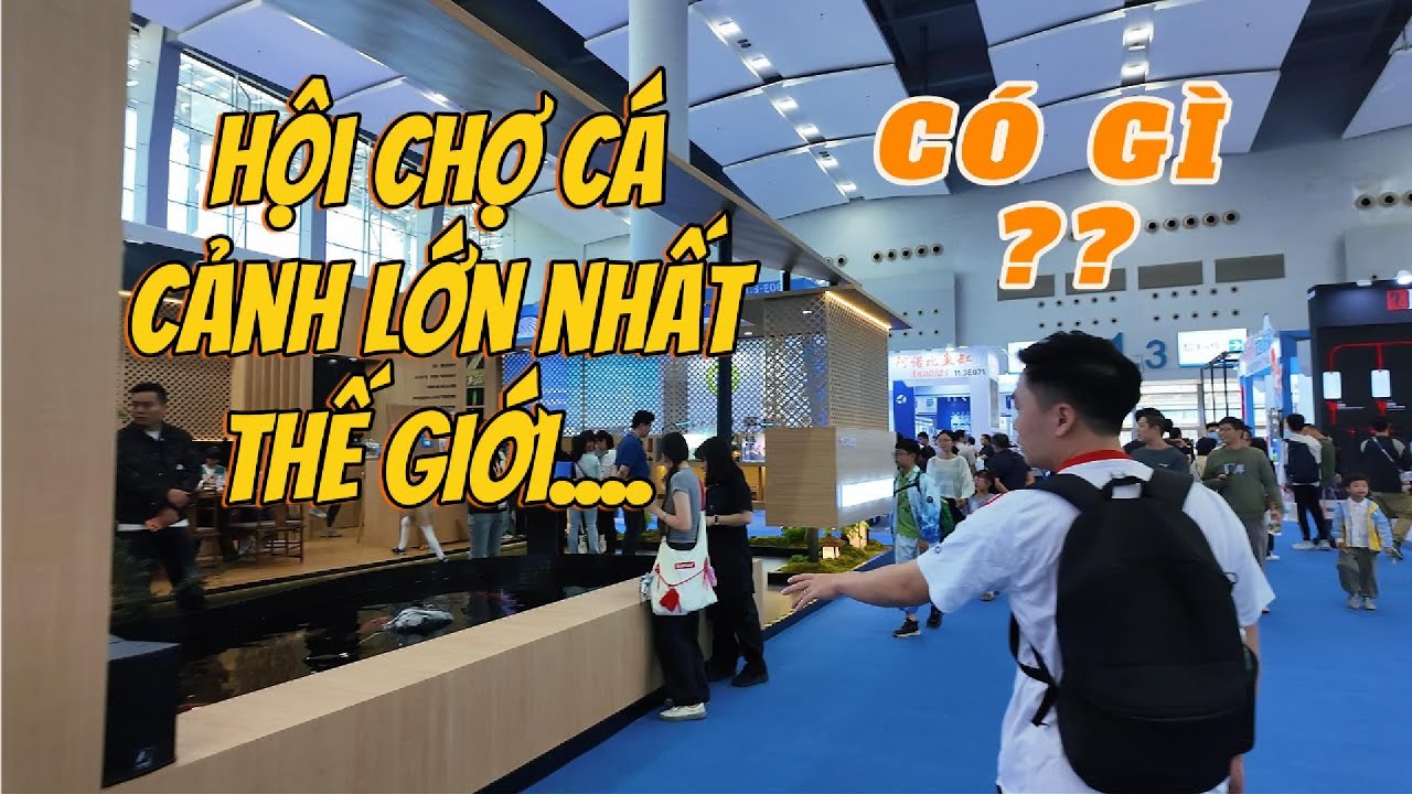HỘI CHỢ, TRIỂN LÃM CÁ CẢNH LỚN NHẤT THẾ GIỚI TẠI TRUNG QUỐC 2025 - CÁ CHƠI THẮNG VLOG