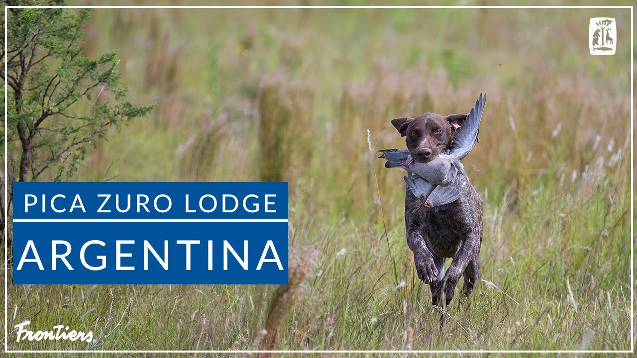 Pica Zuro Lodge | Argentina