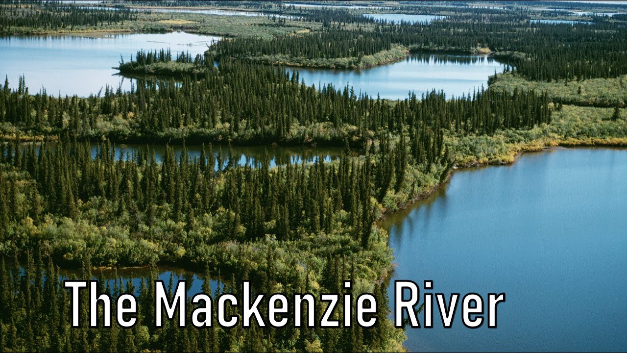 The Mackenzie River