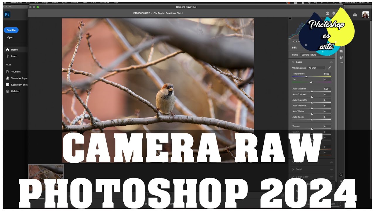 LO QUE NO SABIAS DE CAMERA RAW EN PHOTOSHOP 2024