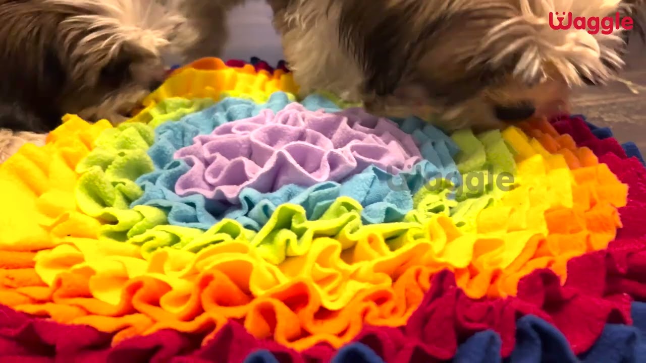Waggle Doggo Stress Relieving Snuffle Mat