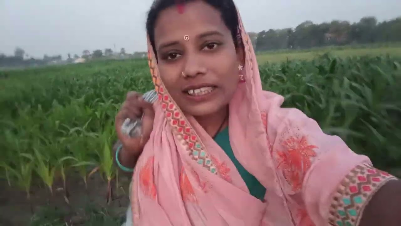 Blo###jiyetohjiyekaise2 #song #log #dance g video khet per a chuke like follow share kijiye 😡😡🙏🙏