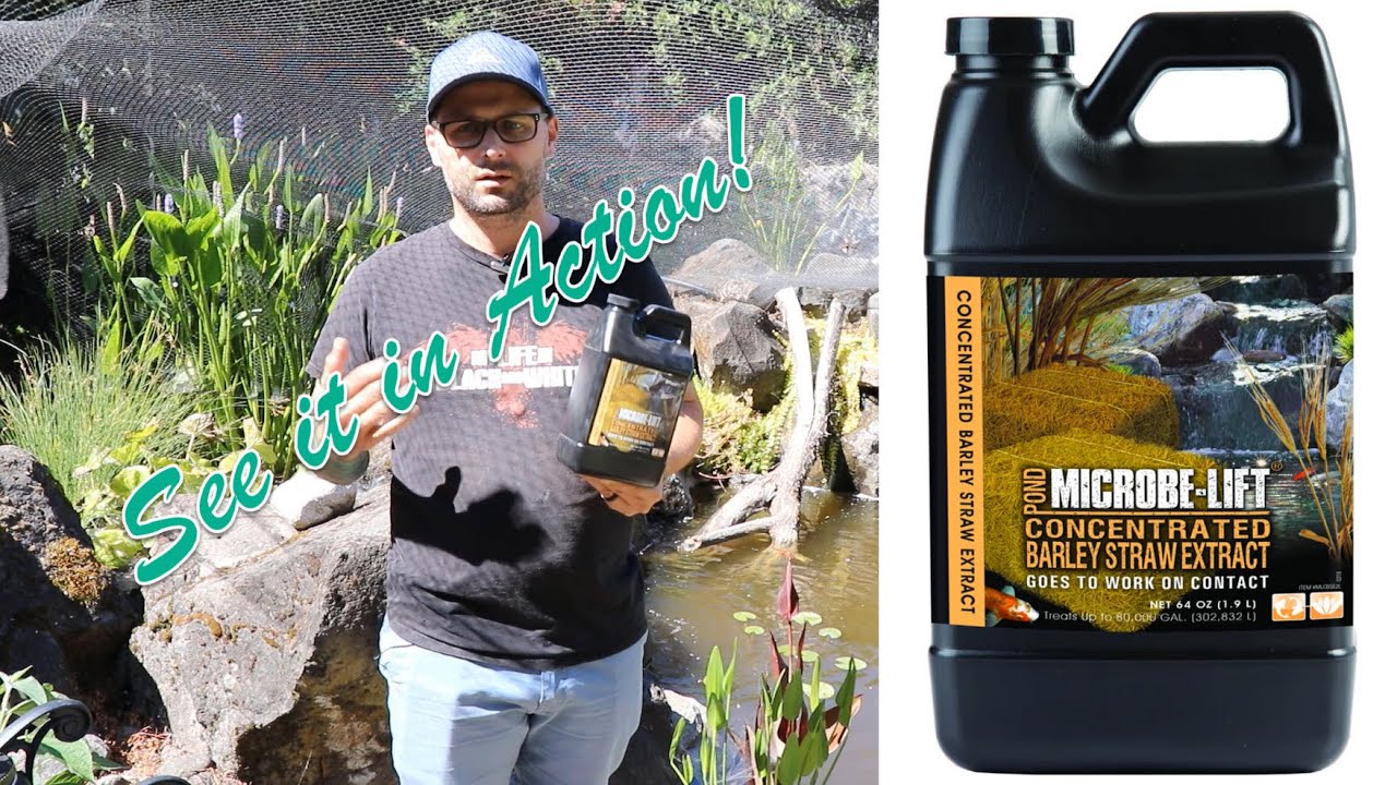 How it works! - Microbe Lift Barley Extract